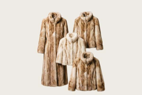 绥化绥棱县回收皮草衣服